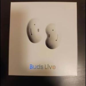 Samsung ear buds